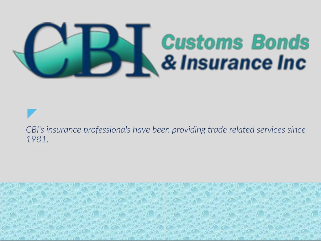 cbi s insurance professionals have been providing trade related services since 1981