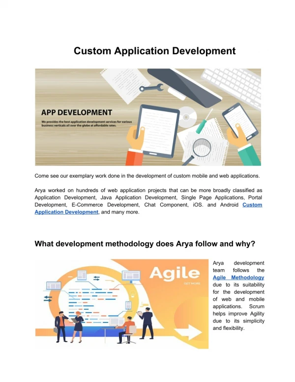 Custom Application Development Services - Arya