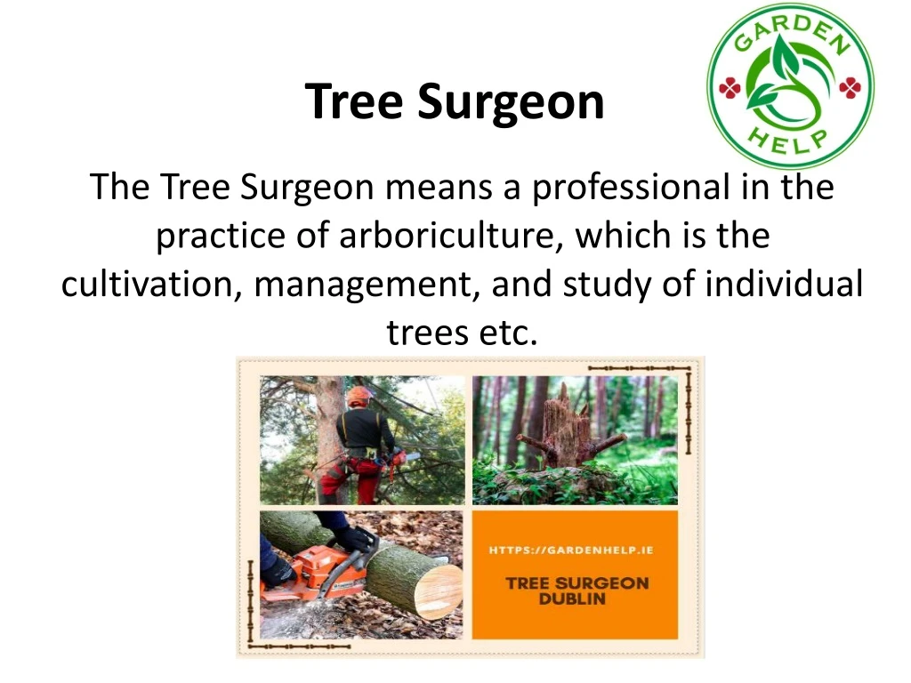 tree surgeon