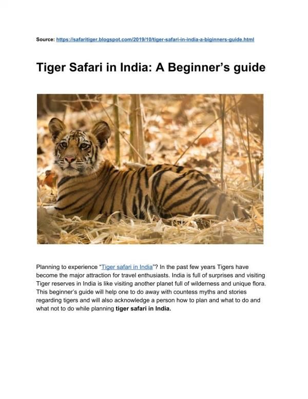 Tiger Safari in India: A Beginner’s guide