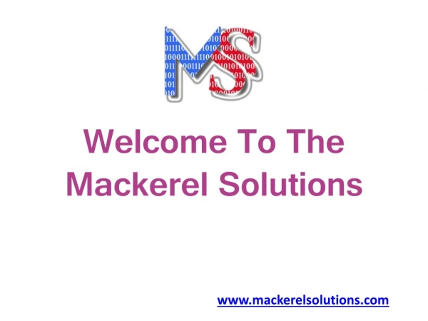 Web Development Services | Digital Marketing Company | Mackerel Solutions