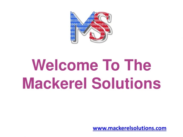 Web Development Services | Digital Marketing Company | Mackerel Solutions