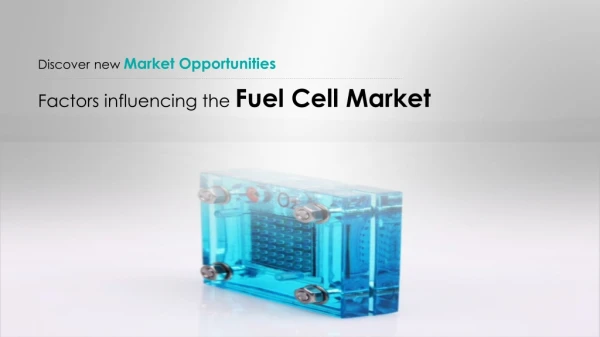 Global Fuel Cell Market 2019-2023