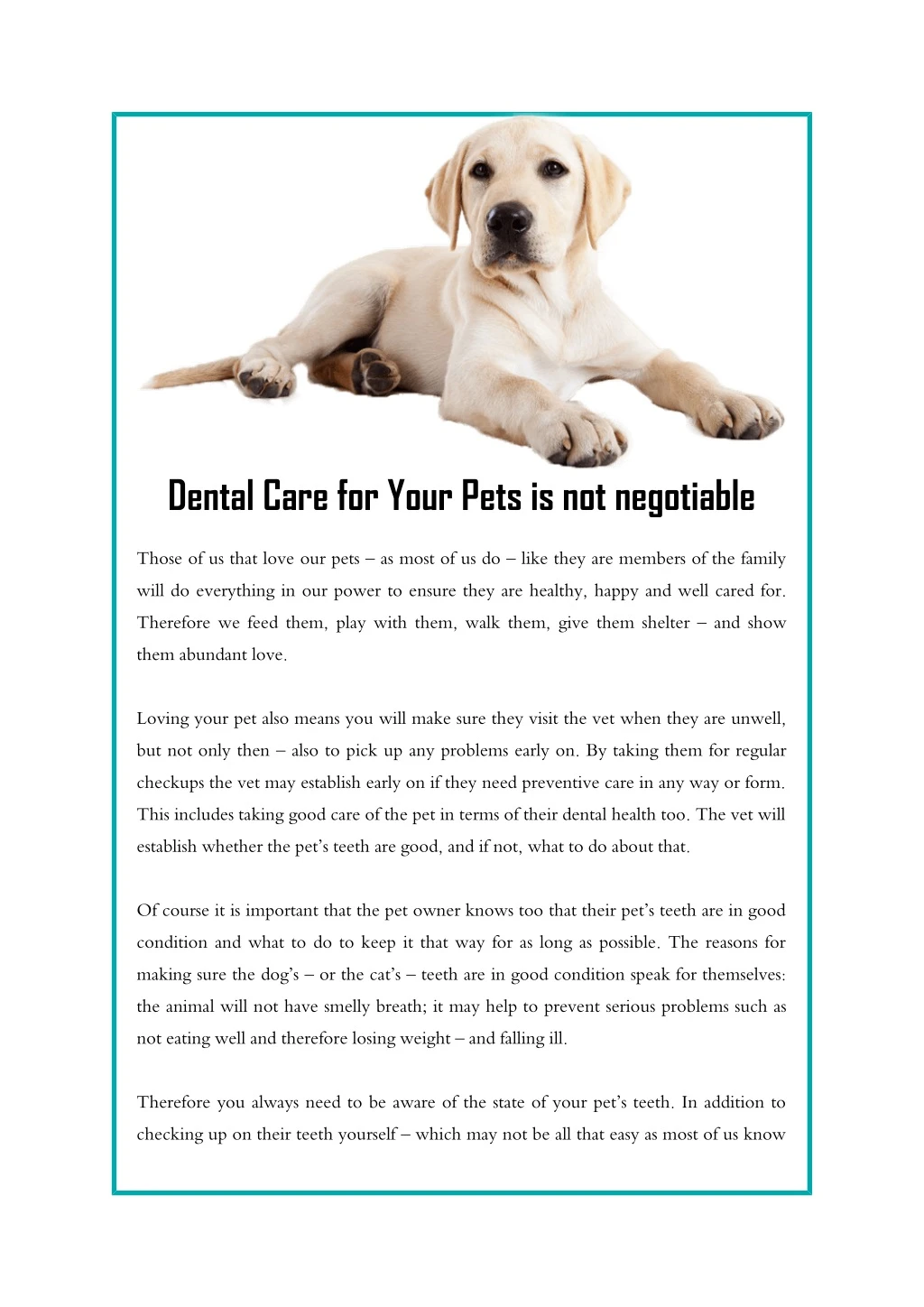 dental care for your pets is not negotiable