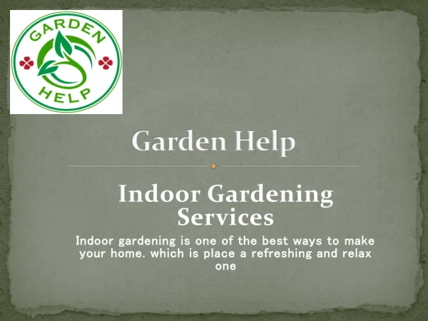 Indoor Gardening Services in Dublin