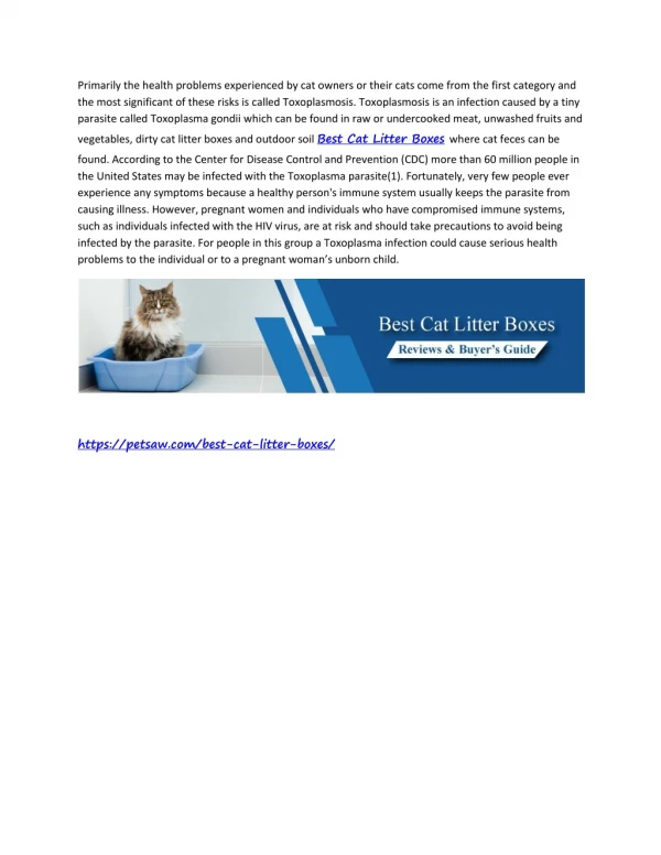 Best Cat Litter Boxes