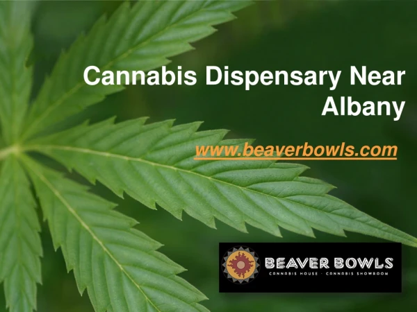 Cannabis Dispensary Near Albany - www.beaverbowls.com