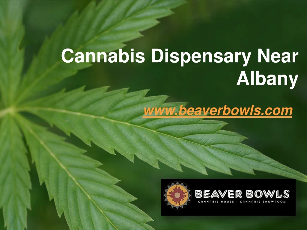 cannabis dispensary near albany