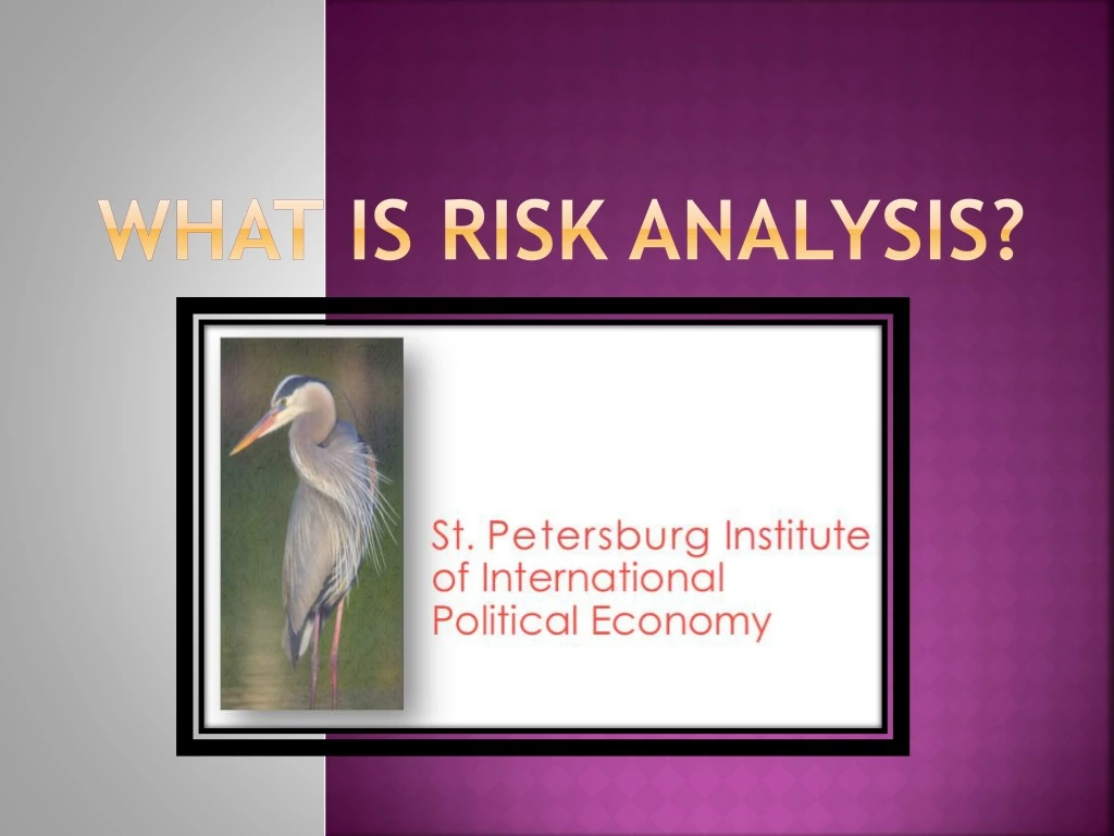 what is risk analysis