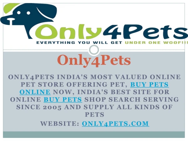 Adopt pets online
