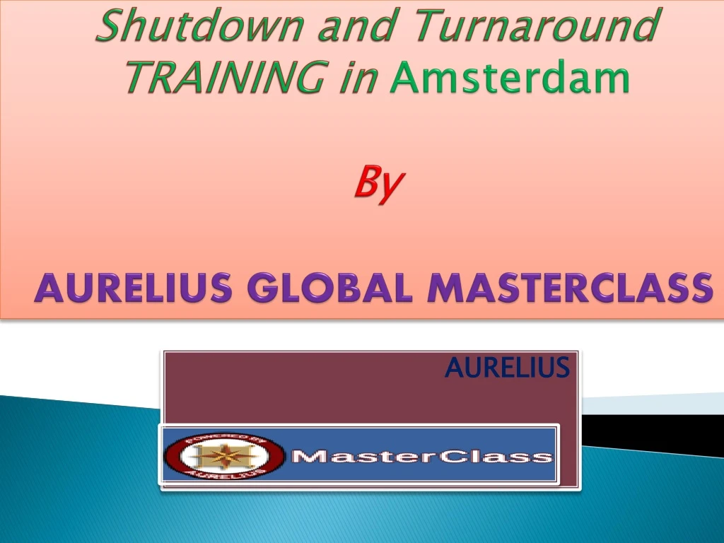 shutdown and turnaround training in amsterdam by aurelius global masterclass