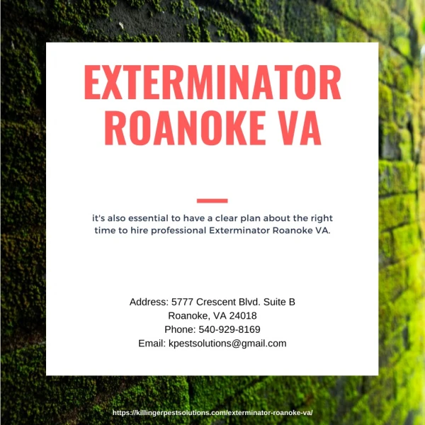 exterminator roanoke va