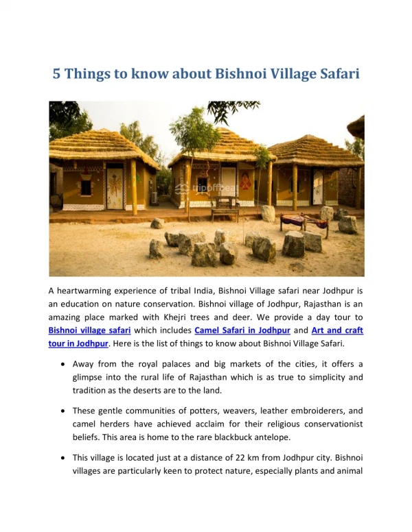 Bishnoi village safari