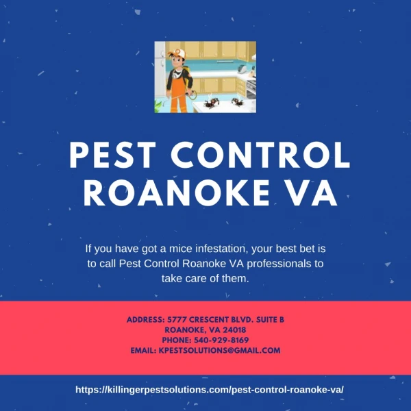 Pest Control Roanoke VA