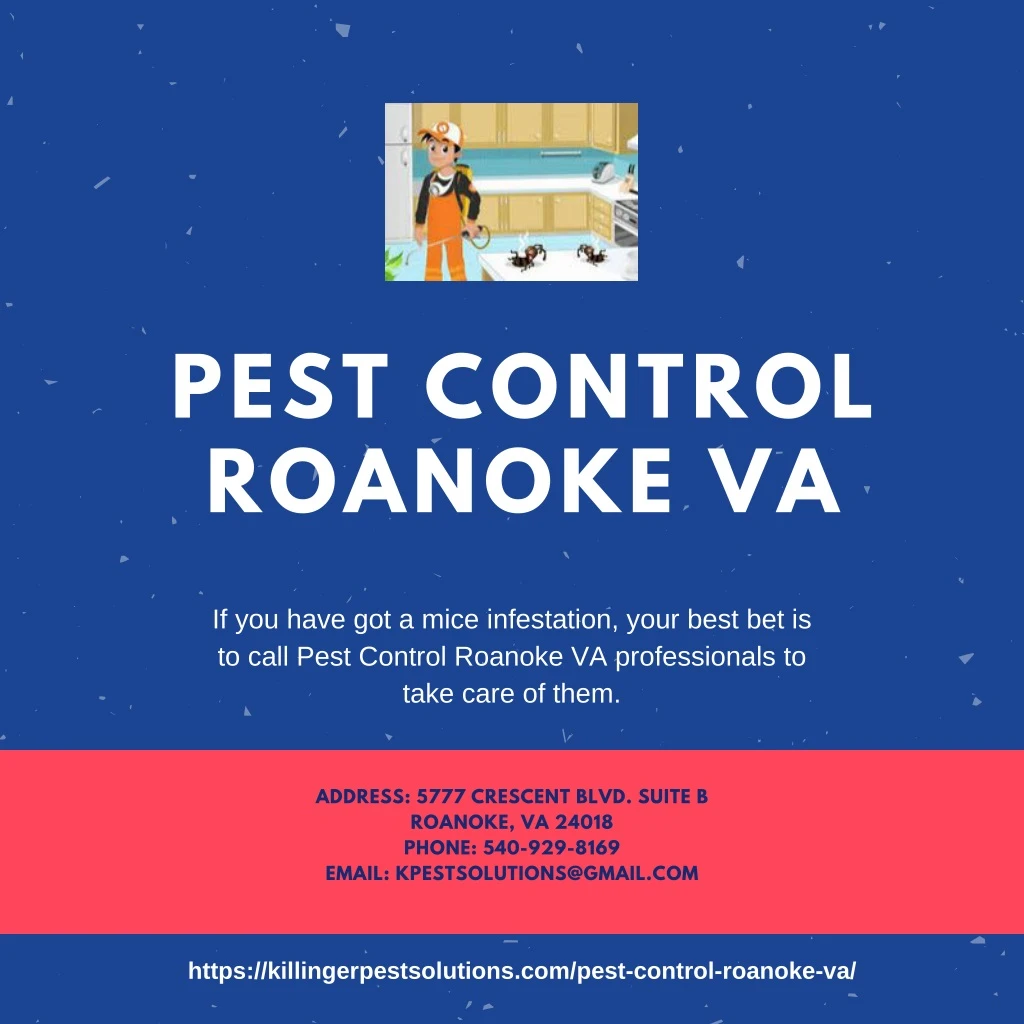 pest control roanoke va