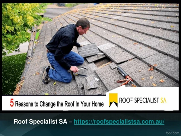 5 Reasons to Change the Roof In Your Home