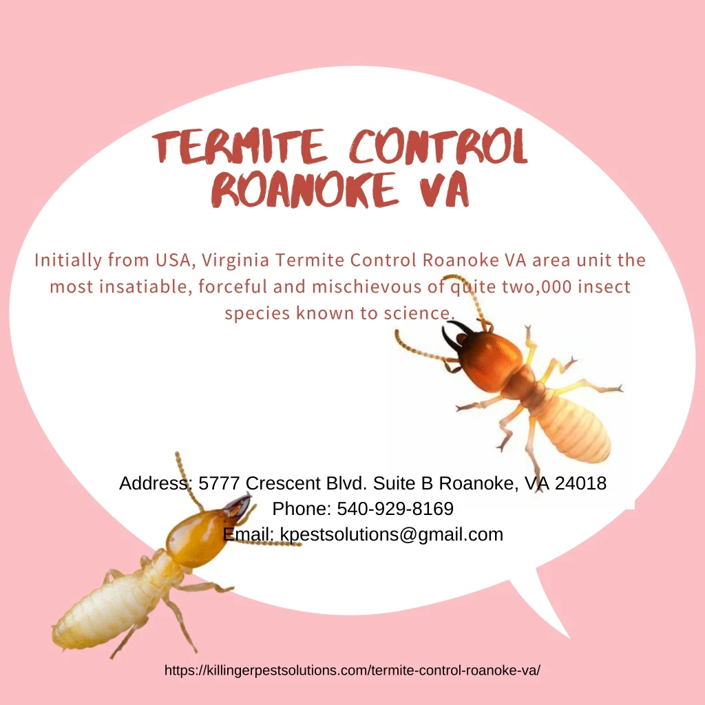 termite control roanoke va