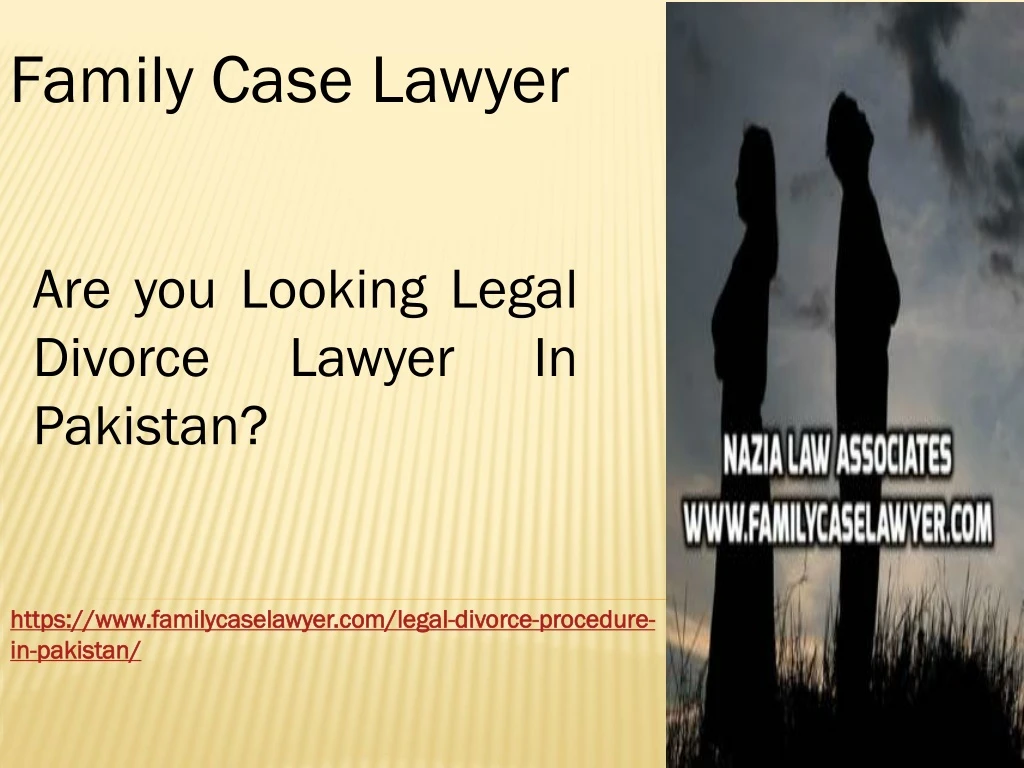 family case lawyer