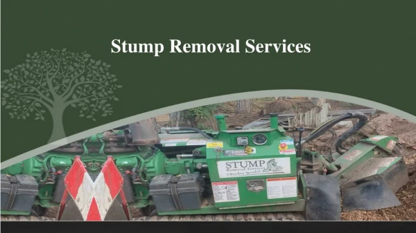 Stump Removal Services