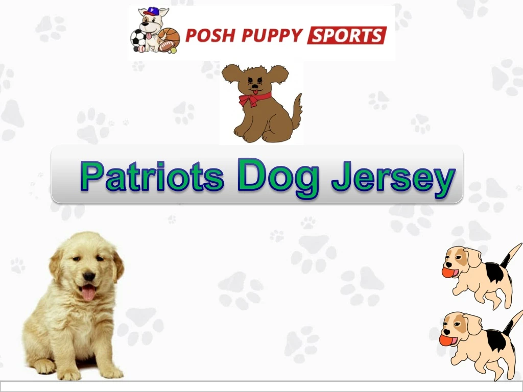 patriots dog jersey