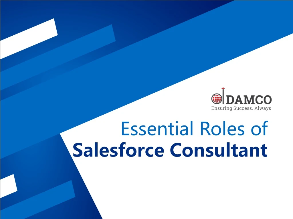 essential roles of salesforce consultant