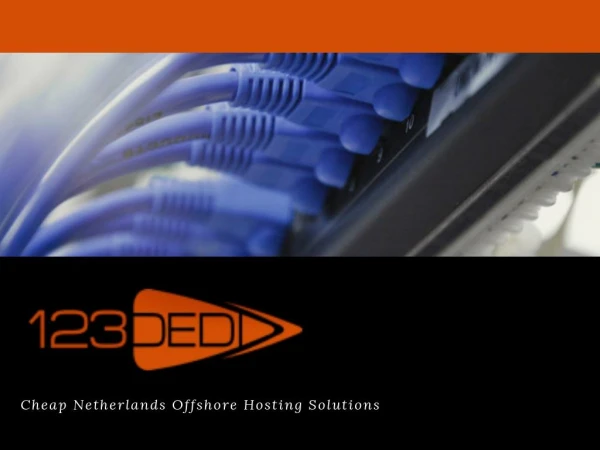 Dedicated server netherlands