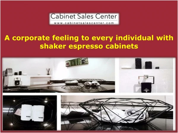 Best Shaker Espresso Cabinets - Cabinet Sales Center