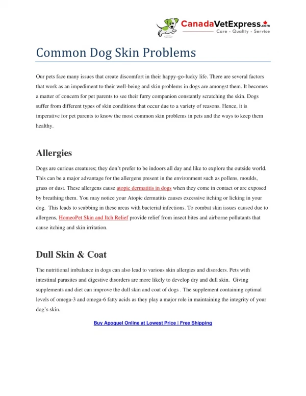 Common Dog Skin Problems