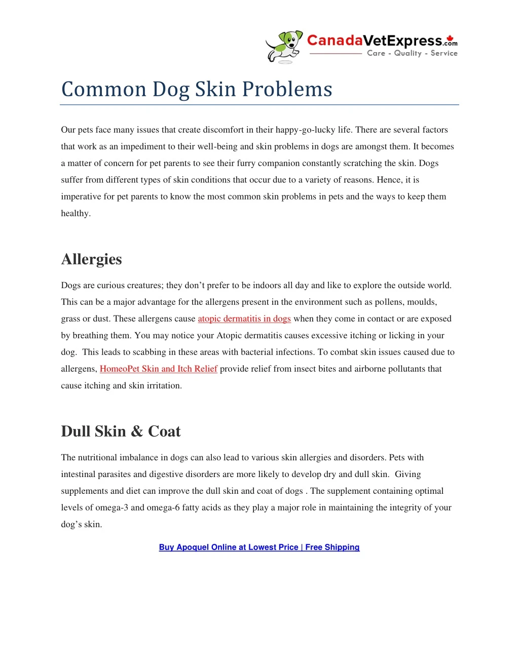 common dog skin problems