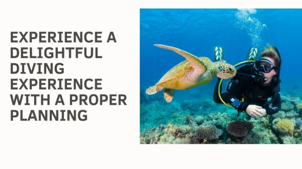Experience a delightful diving experience with a proper planning