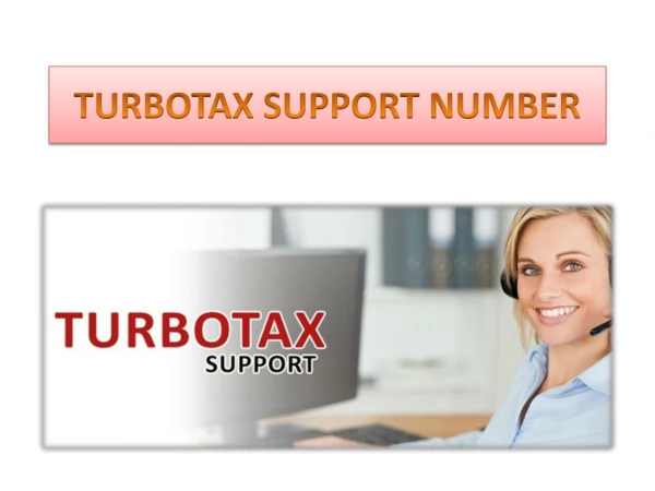 Turbotax Support Number