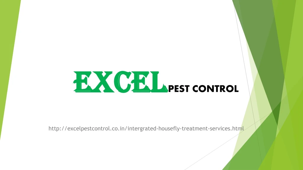 excel pest control