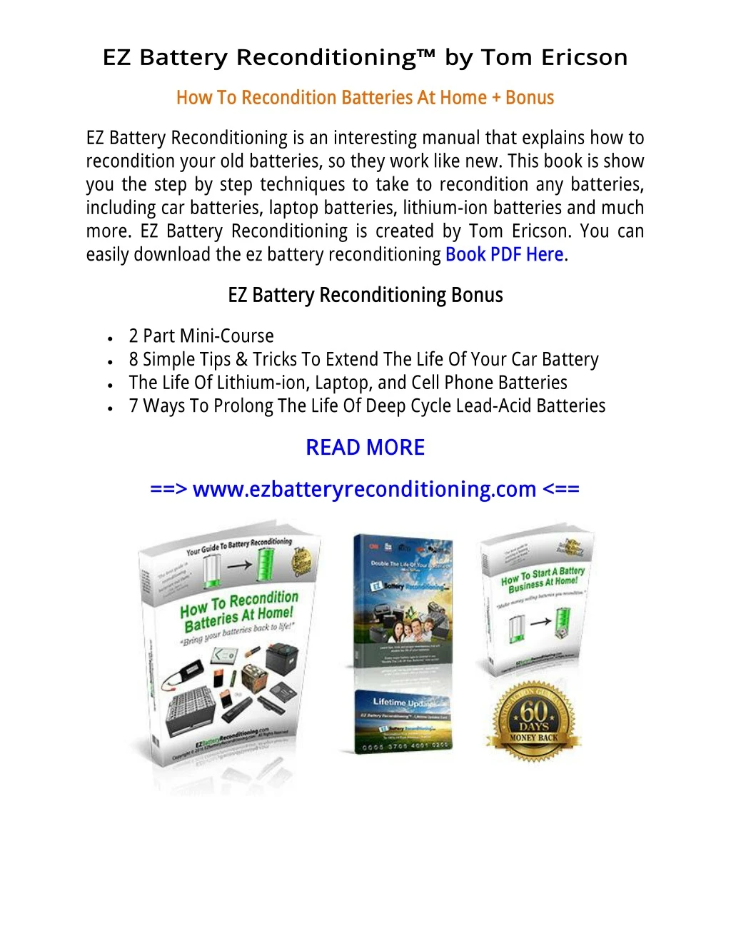 ez battery reconditioning by tom ericson