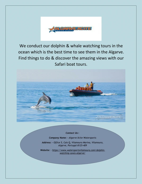 Whale Watching Algarve | Watersportsvilamoura.com