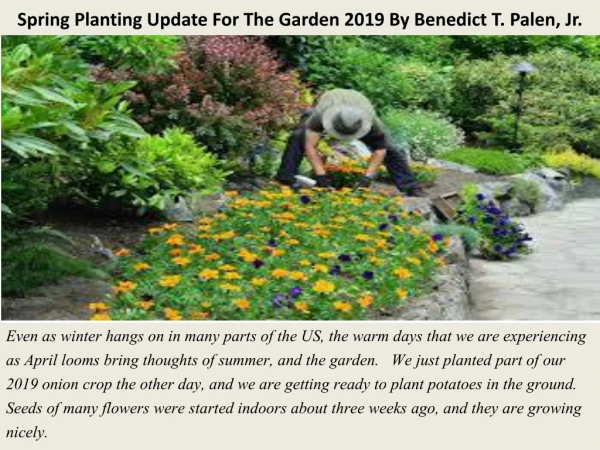 Spring Planting Update For The Garden 2019 By Benedict T. Palen, Jr.