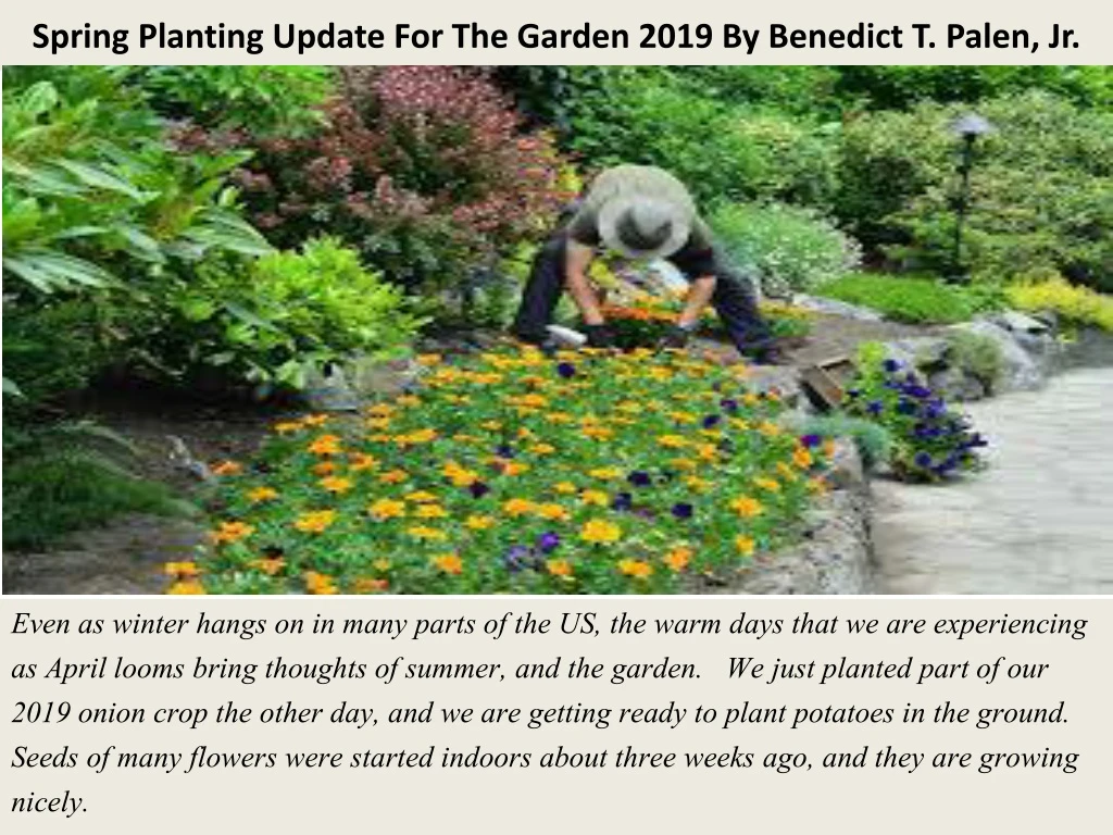spring planting update for the garden 2019 by benedict t palen jr