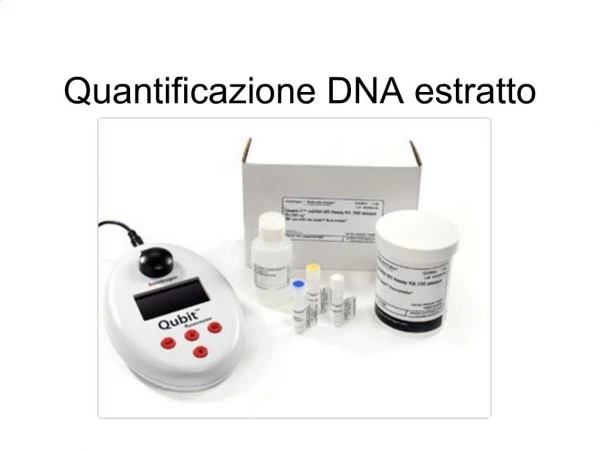 Quantificazione DNA estratto