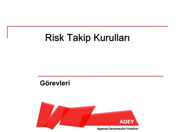 Risk Takip Kurullari