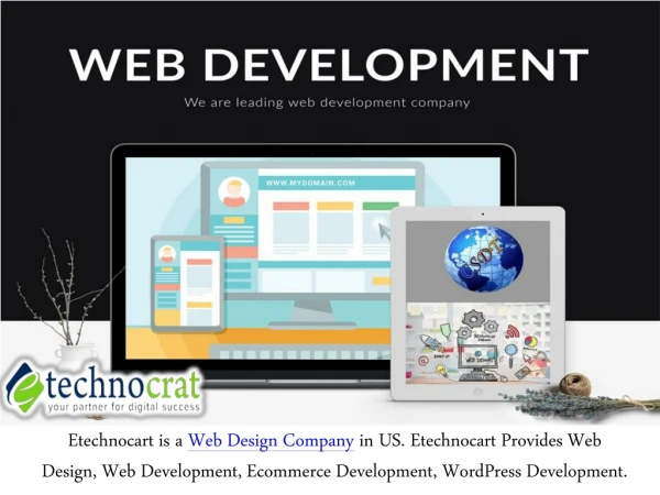 Etechnocrat - What should a web developer do?