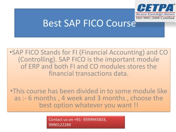 Best SAP FICO Course in Delhi