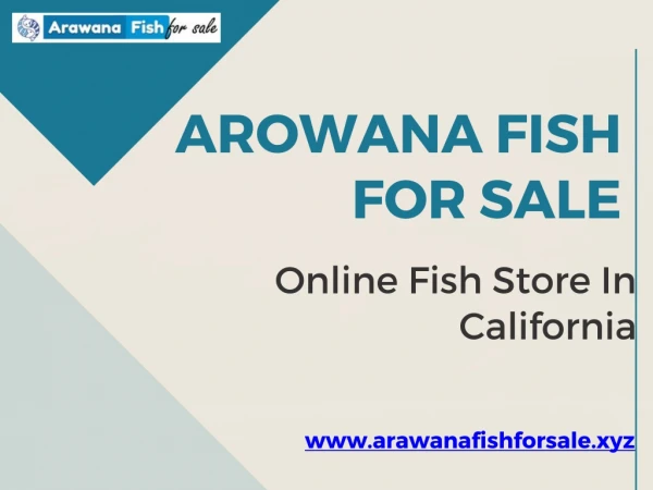 Buy Arowana Fish Online At Affordable Price