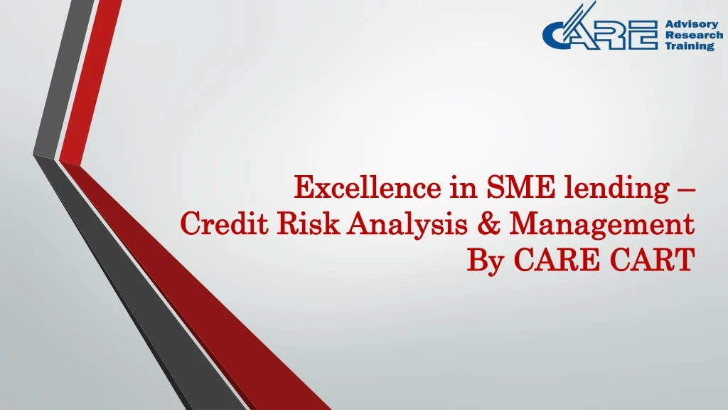 excellence in sme lending credit risk analysis management by care cart