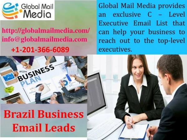 Brazil Business Email Leads