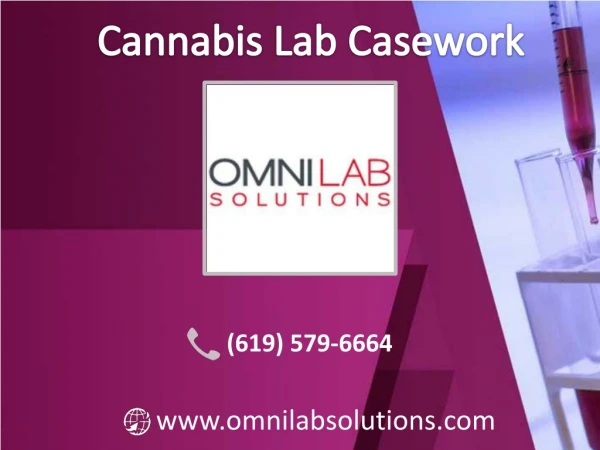 Convention Cannabis Lab Casework by OMNI Lab Solutions