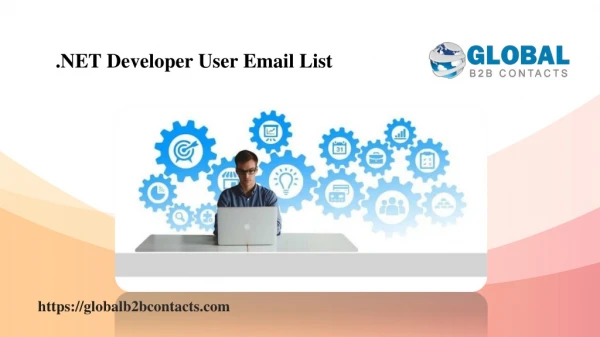 .NET Developer User Email List