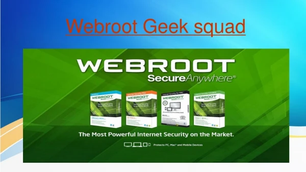 geek Squad Webroot