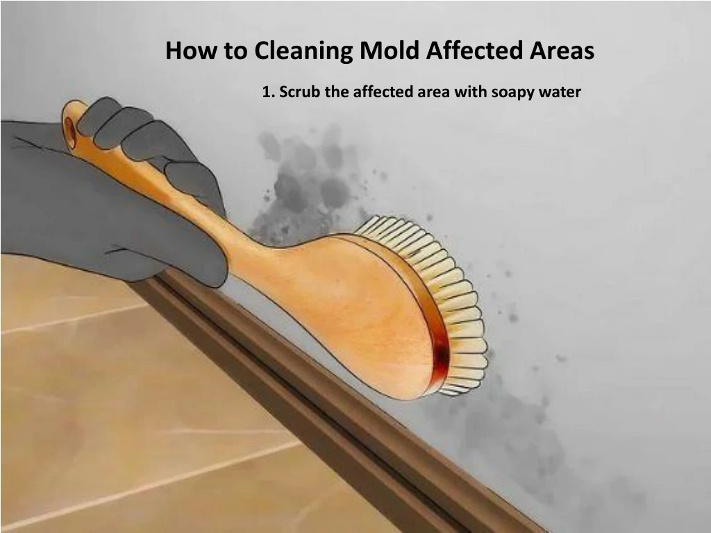 how to cleaning mold affected areas