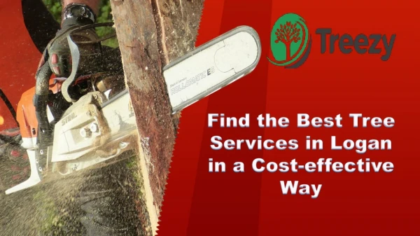 Find the Best Tree Services in Logan in a Cost-effective Way