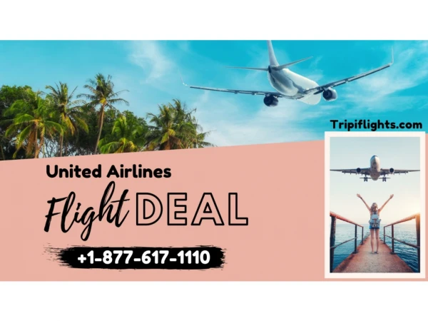 Grab the Best Deals | United Airlines Flights Deals | Tripiflights