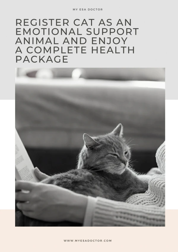 Register Cat as an Emotional Support Animal And Enjoy A Complete Health Package